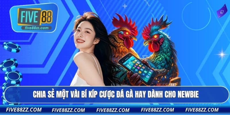 Chia sẻ một vài bí kíp cược đá gà hay dành cho newbie