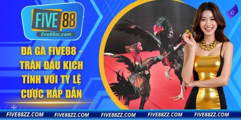 Đá Gà FIVE88